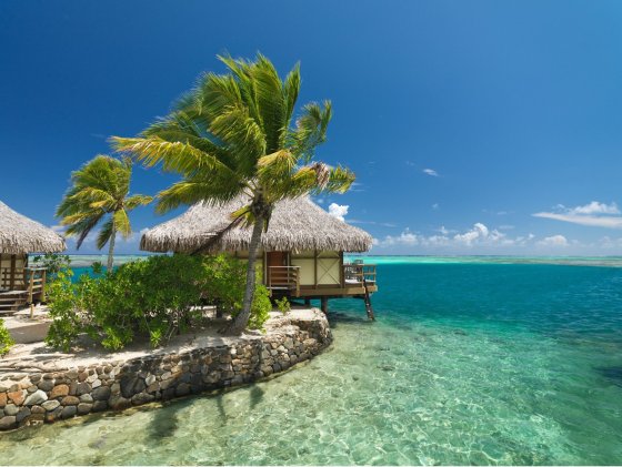 EXOTICKÁ DOVOLENKA 2026