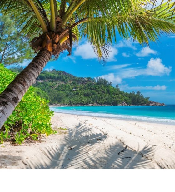 DOVOLENKA V KARIBIKU 2026