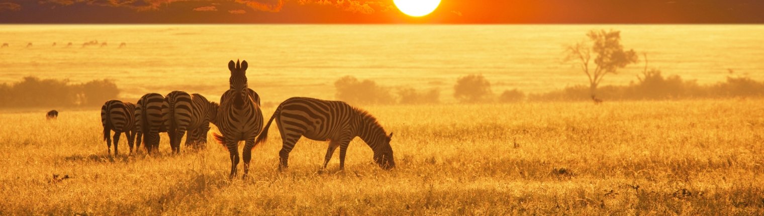 POZNÁVACIE ZÁJAZDY