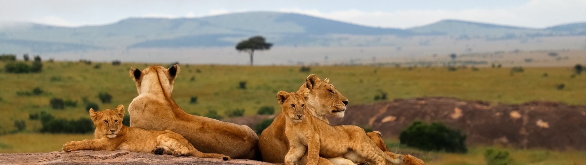 POZNÁVACIE ZÁJAZDY