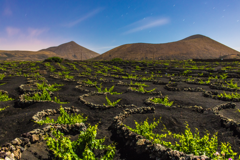 Lanzarote