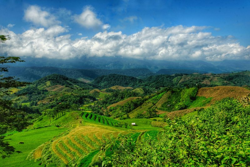 Vietnam