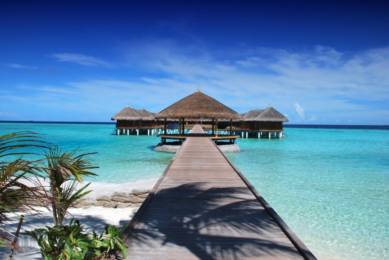 Maldivy
