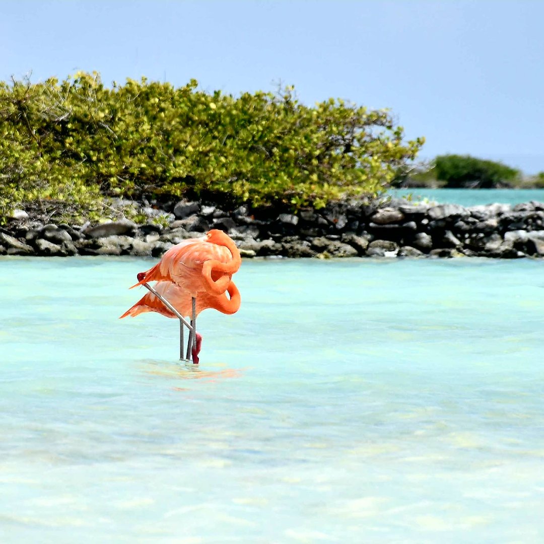 Dovolenka Bonaire pri mori