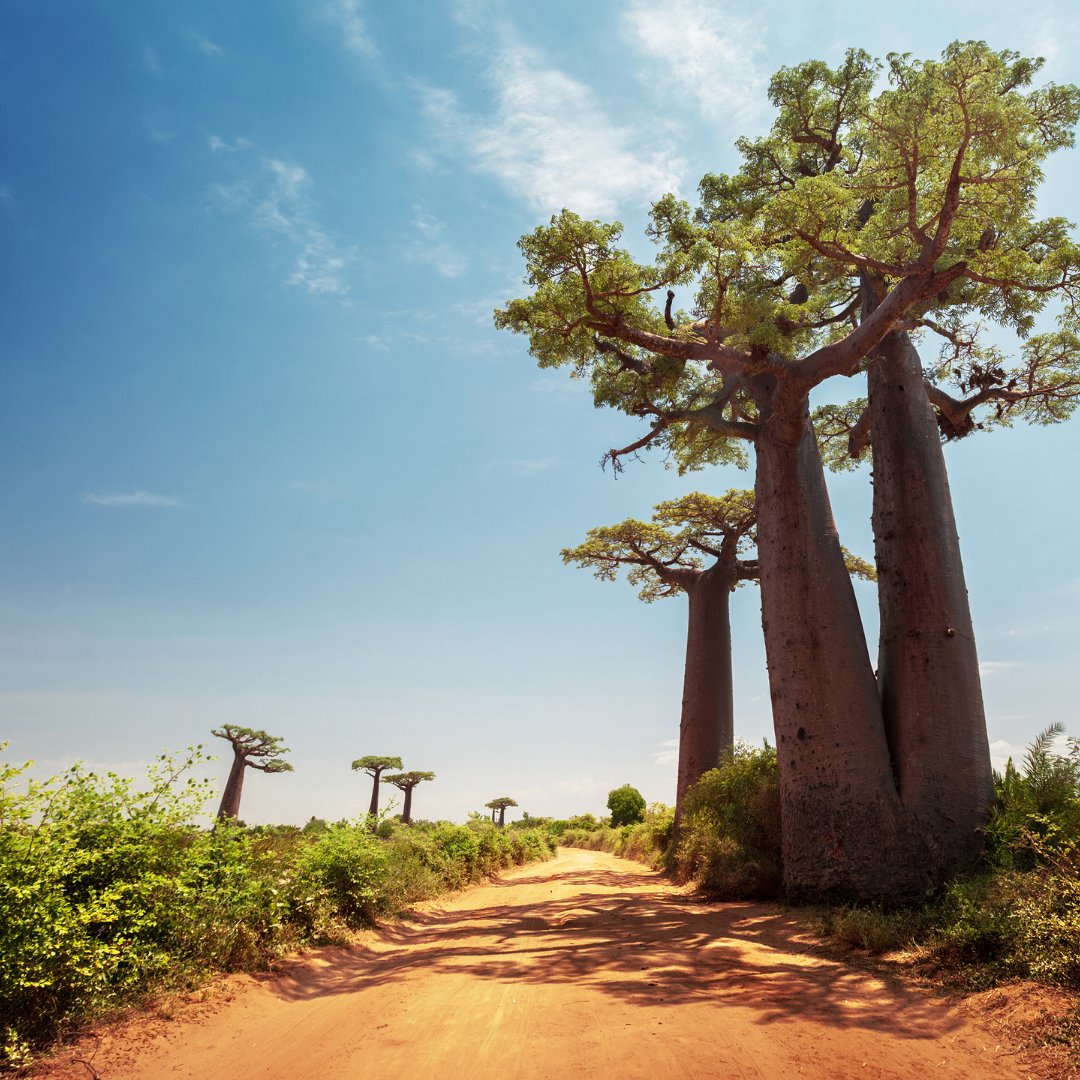 Exotická dovolenka Madagaskar pri mori