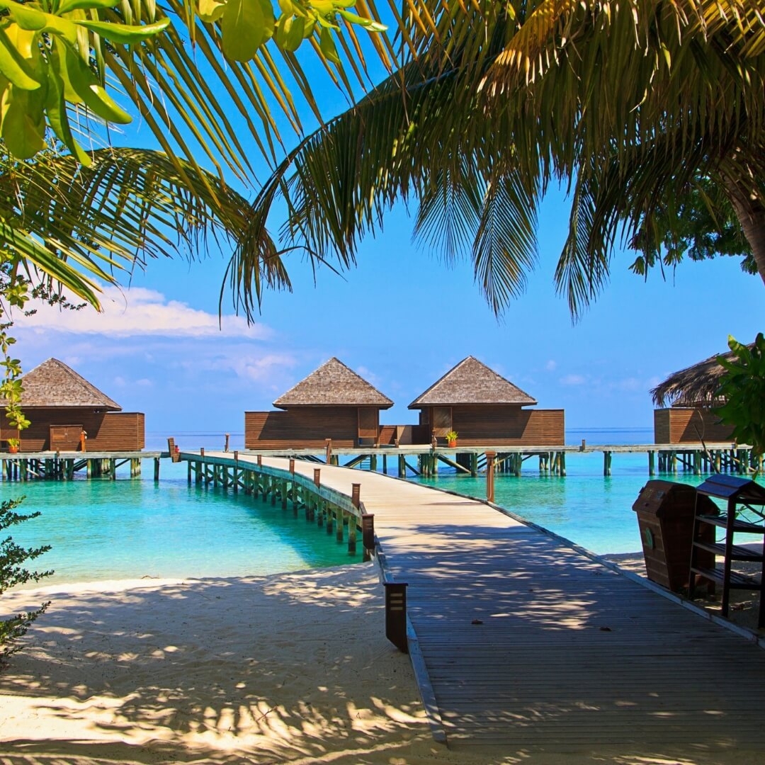 Maldivy