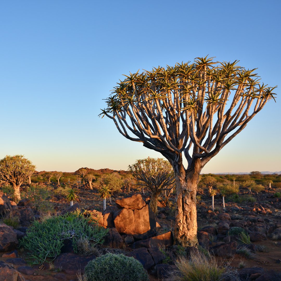 Poznávacie zájazdy Namíbia