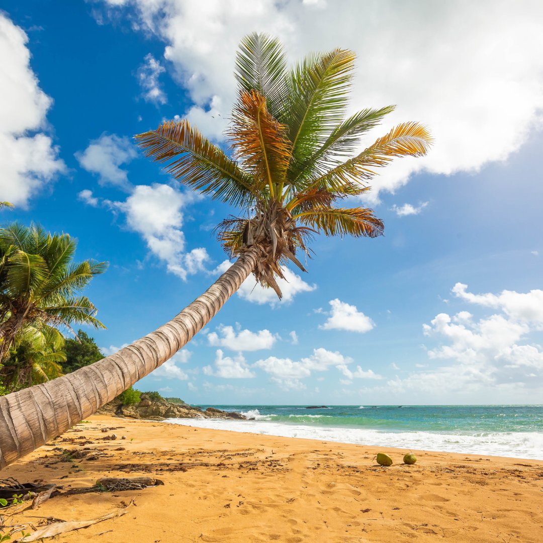 Dovolenka Portoriko pri mori